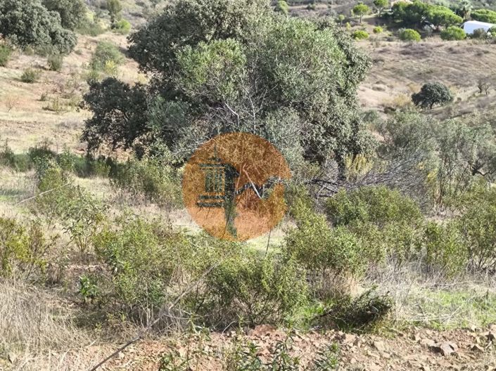 Image No.3-Plot for sale