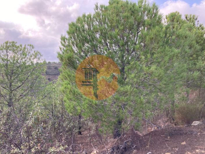 Image No.1-Terrain à vendre à Castro Marim