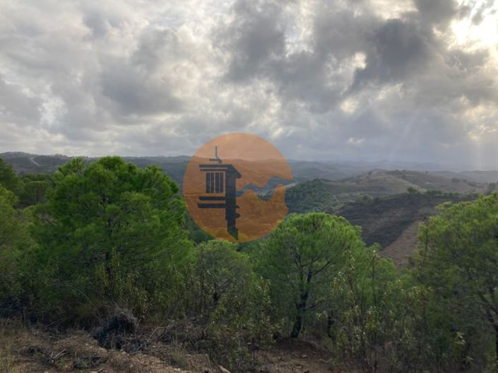 Image No.13-Plot for sale