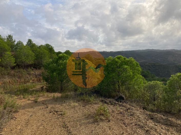 Image No.16-Plot for sale