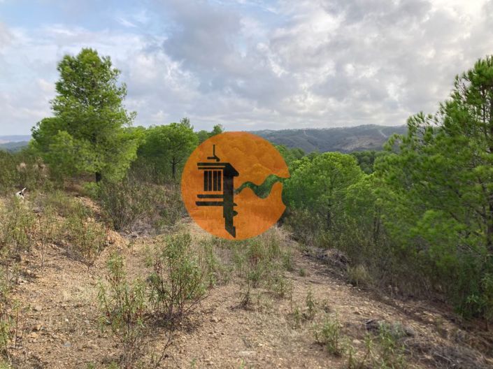 Image No.19-Plot for sale