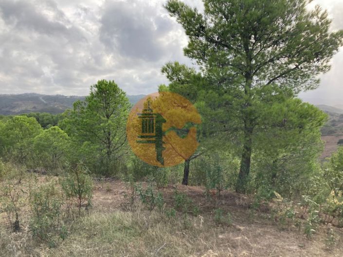 Image No.21-Plot for sale