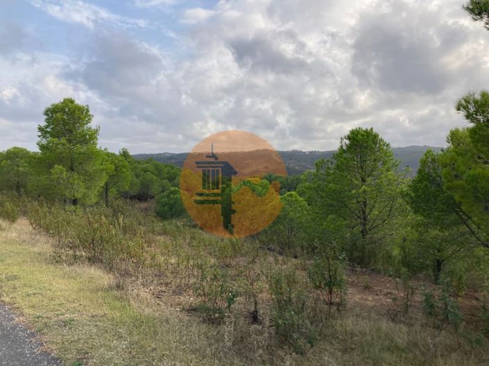 Image No.22-Plot for sale