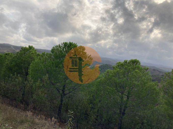 Image No.5-Plot for sale