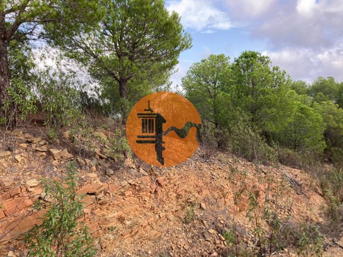 Image No.6-Plot for sale