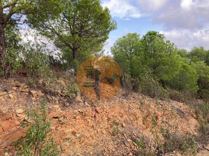 Image No.6-Terrain à vendre à Castro Marim