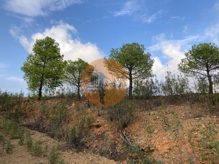 Image No.9-Plot for sale