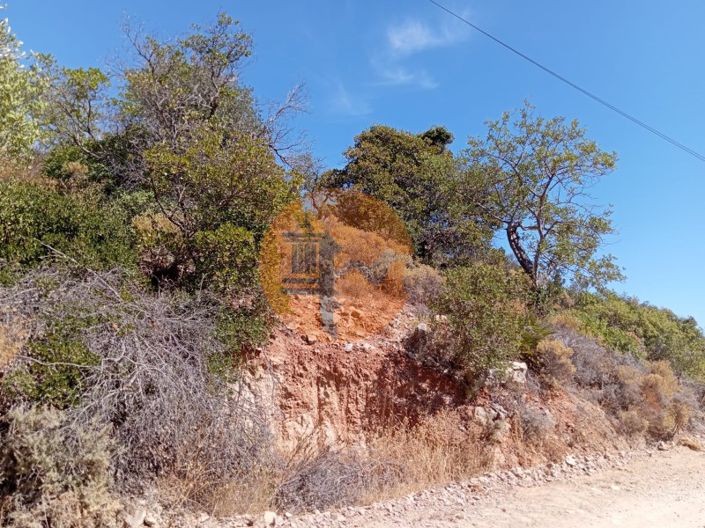 Image No.4-Plot for sale