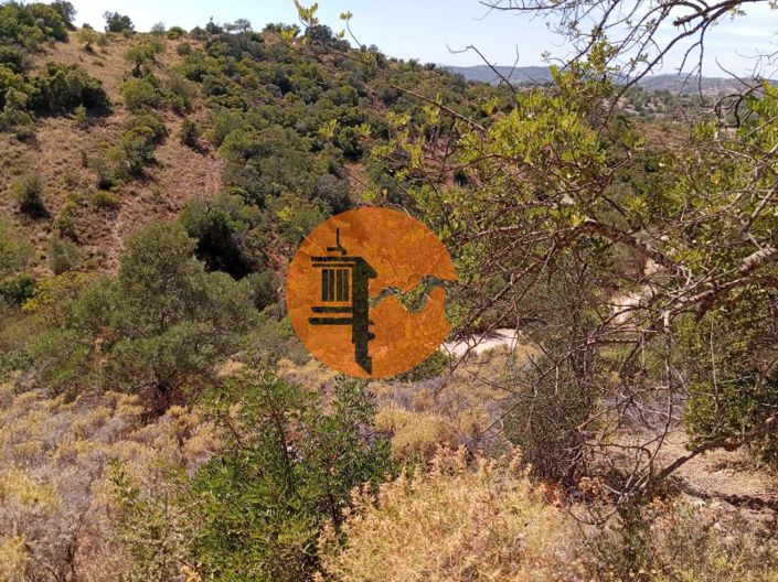 Image No.9-Plot for sale