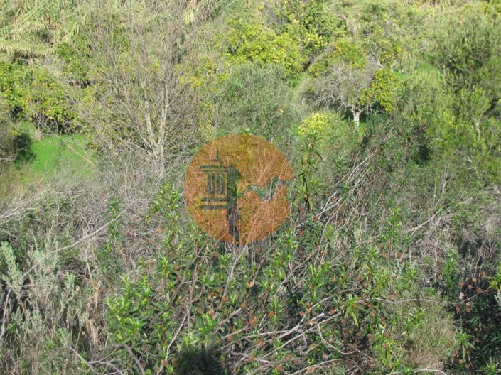 Image No.15-Plot for sale