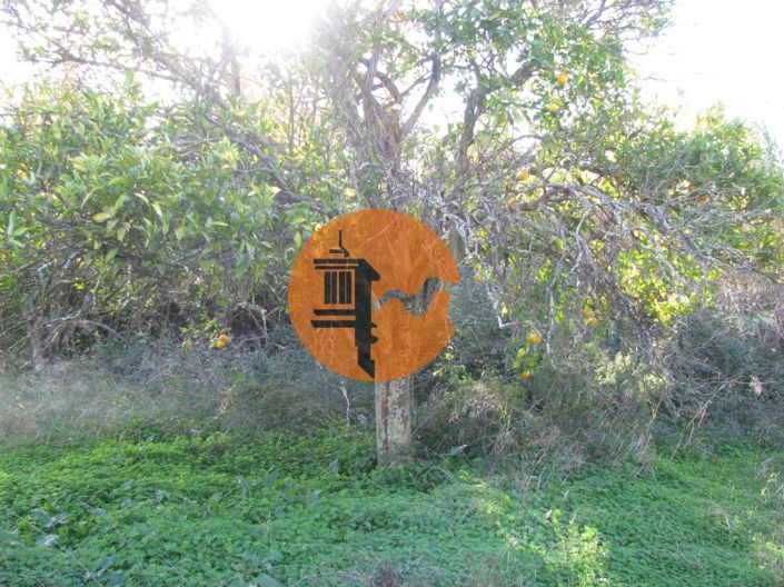 Image No.21-Plot for sale