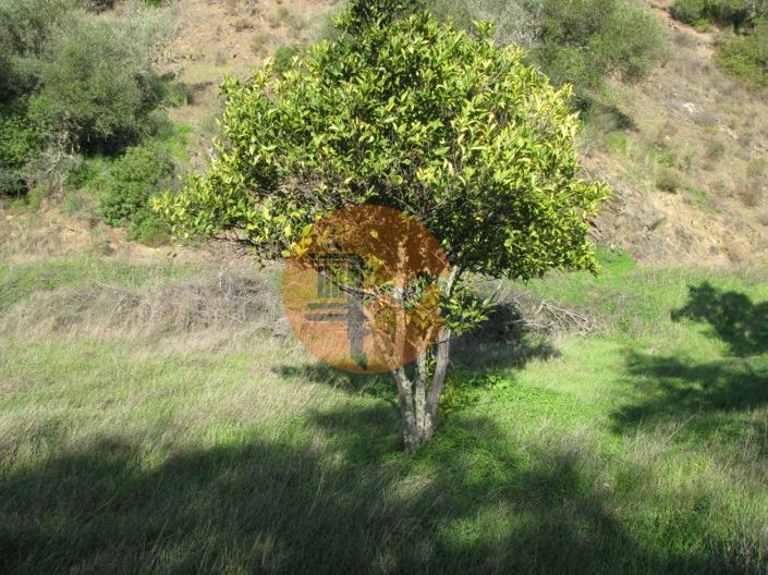 Image No.22-Plot for sale