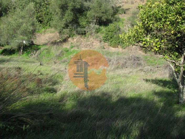 Image No.24-Plot for sale