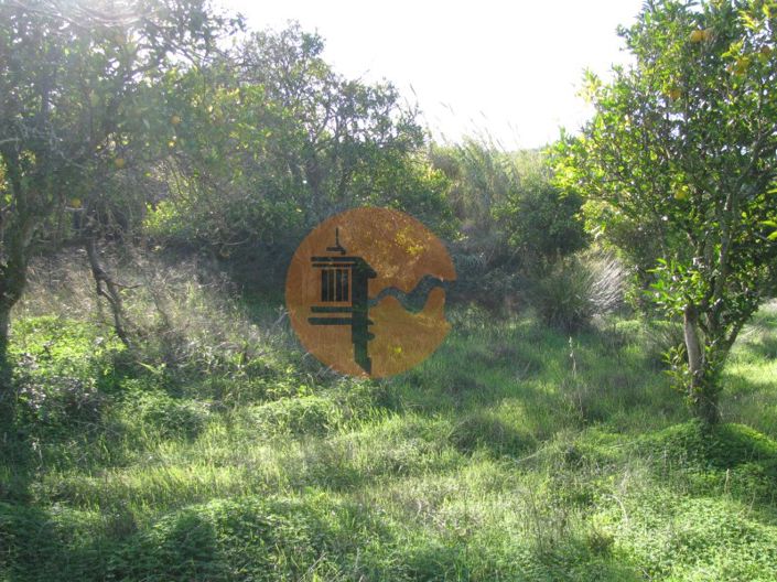 Image No.29-Plot for sale