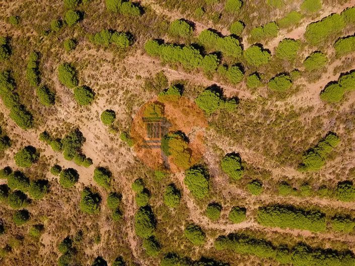 Image No.10-Commercial for sale