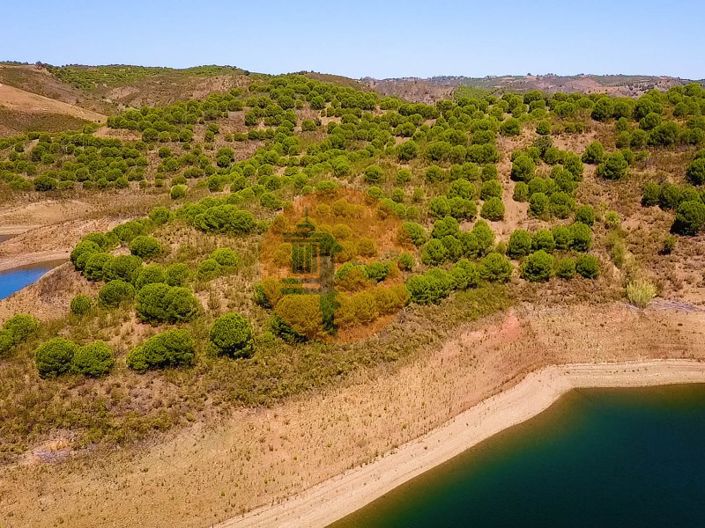 Image No.14-Commercial for sale