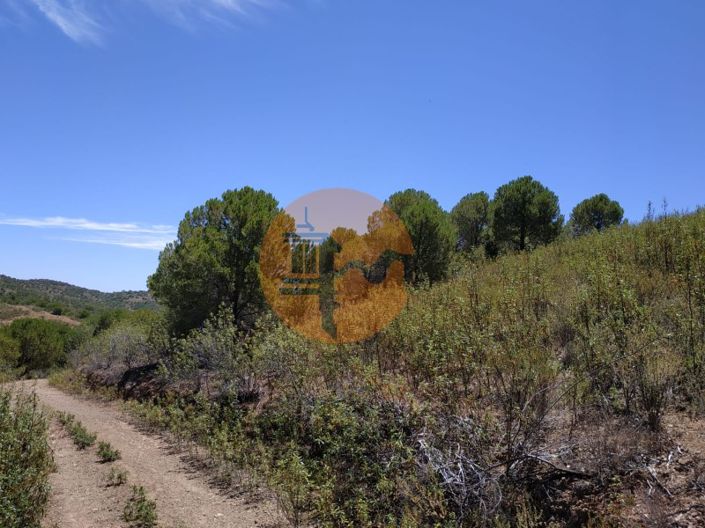 Image No.49-Commercial for sale