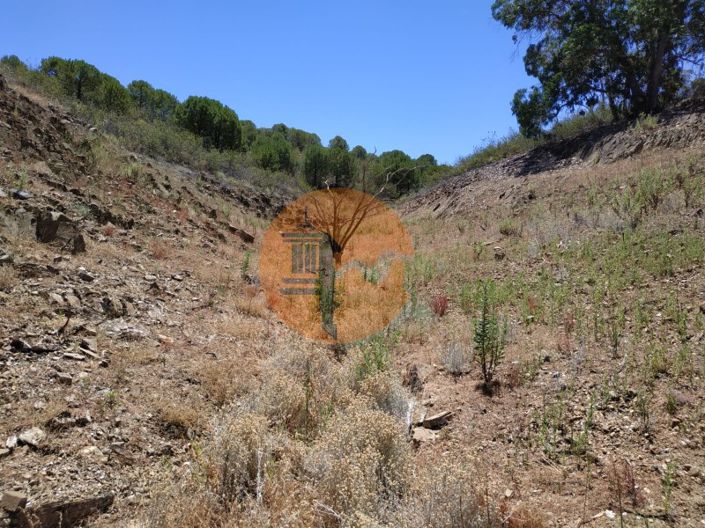 Image No.60-Commercial for sale