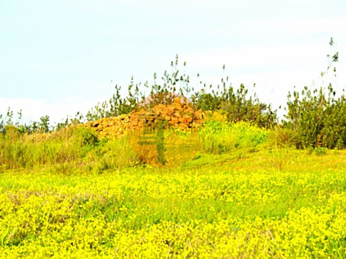 Image No.1-Plot for sale