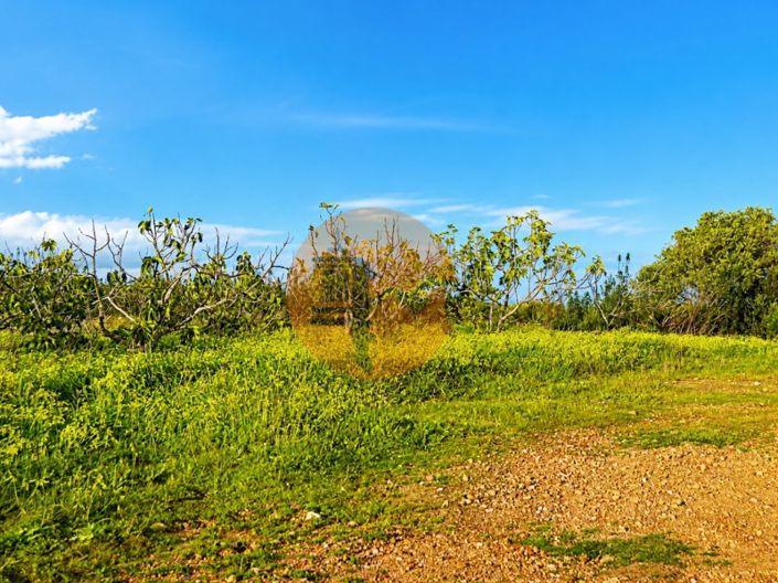 Image No.3-Plot for sale