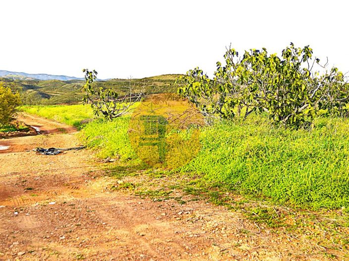 Image No.5-Plot for sale