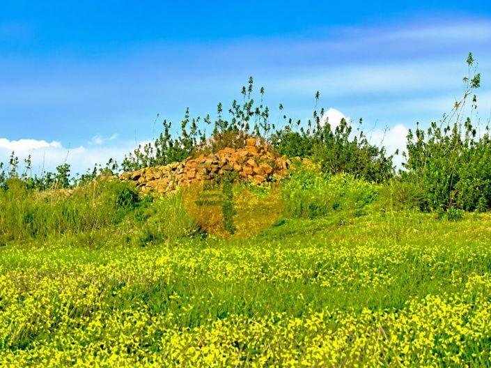 Image No.6-Plot for sale