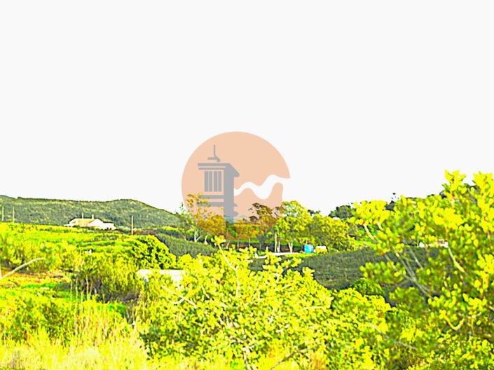 Image No.8-Plot for sale