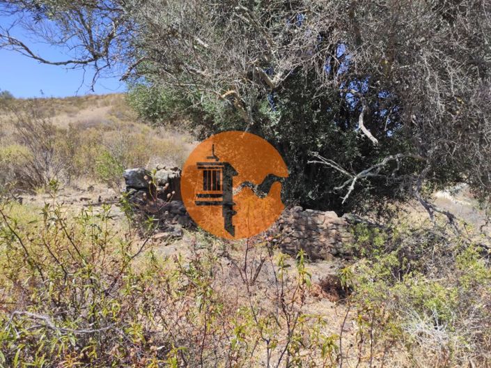 Image No.18-Commercial for sale