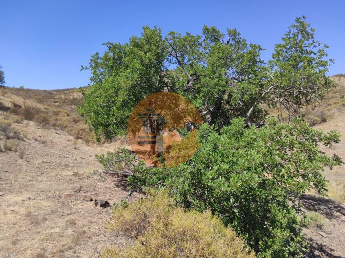 Image No.19-Commercial à vendre à Castro Marim