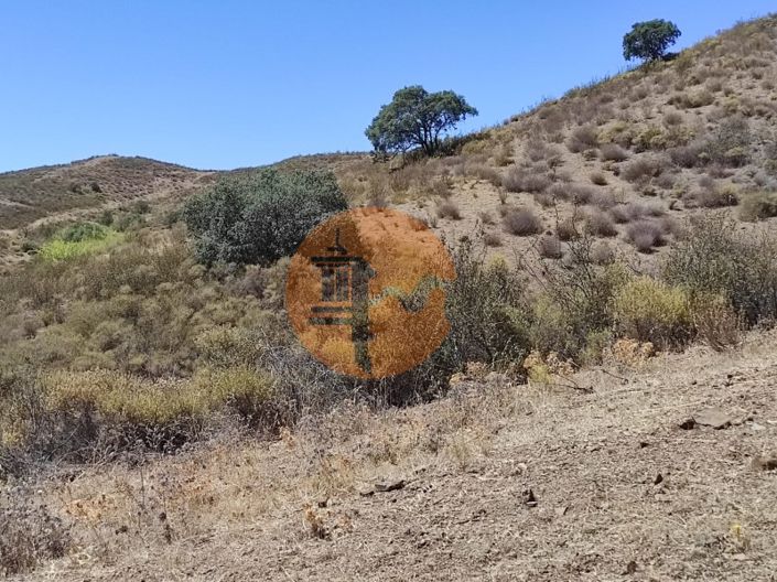 Image No.21-Commercial à vendre à Castro Marim