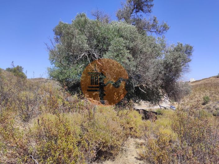 Image No.7-Commercial à vendre à Castro Marim