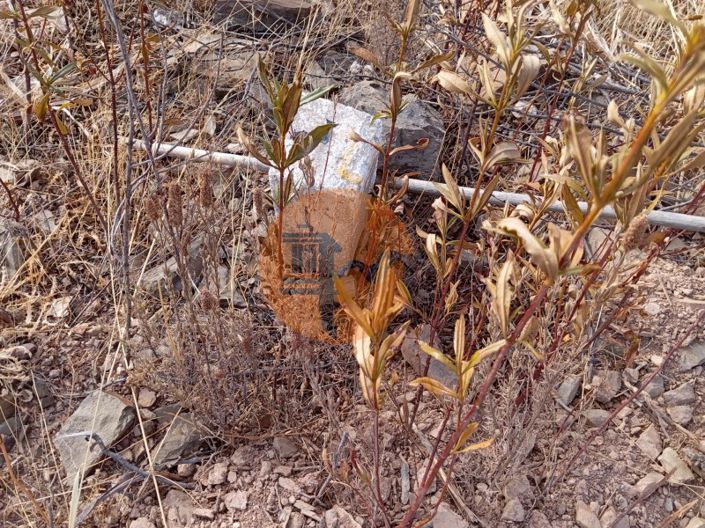 Image No.5-Terrain à vendre à Tavira