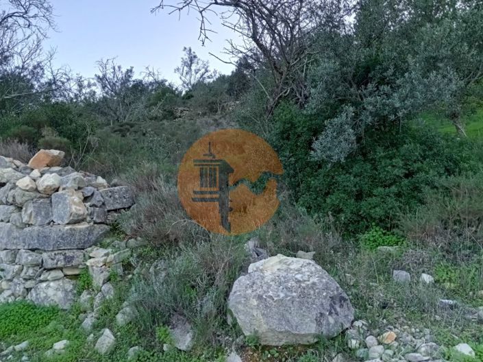 Image No.5-Terrain à vendre à Sao Bras de Alportel