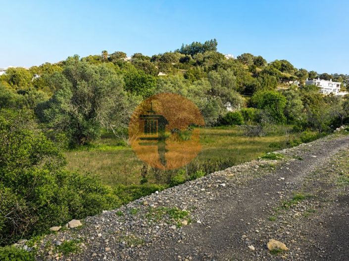 Image No.4-Terrain à vendre à São Brás de Alportel
