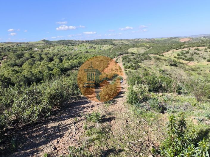 Image No.16-Plot for sale