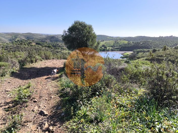 Image No.21-Plot for sale