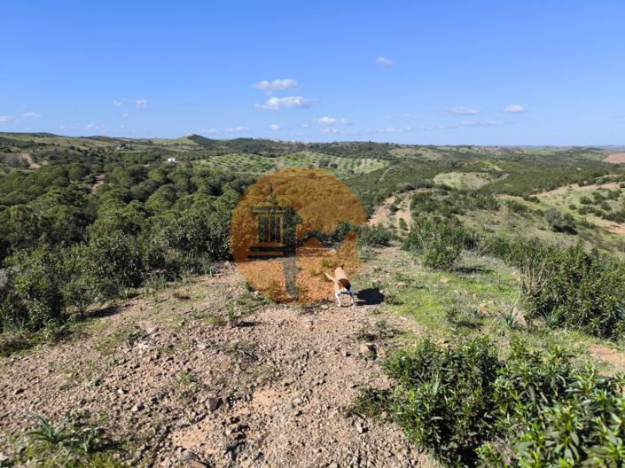 Image No.26-Plot for sale