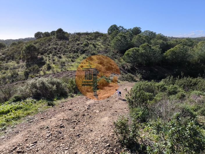 Image No.3-Plot for sale