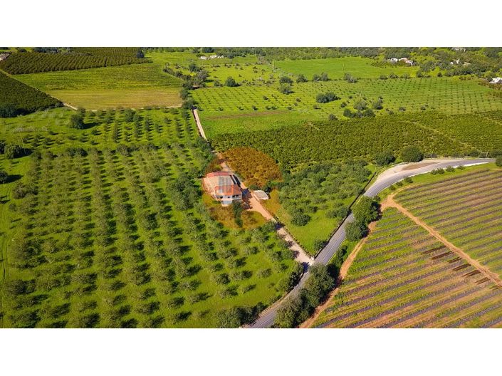 Image No.42-Ferme de 6 chambres à vendre à Tavira