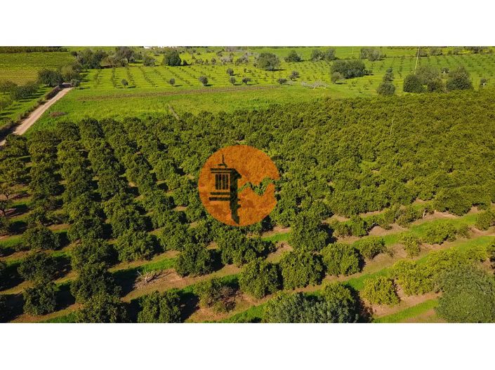 Image No.43-Ferme de 6 chambres à vendre à Tavira