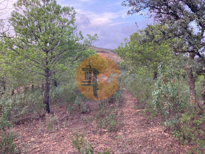 Image No.1-Plot for sale