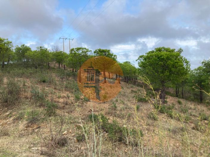 Image No.10-Plot for sale