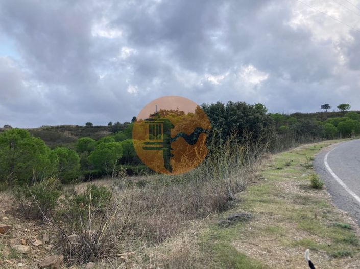 Image No.11-Plot for sale