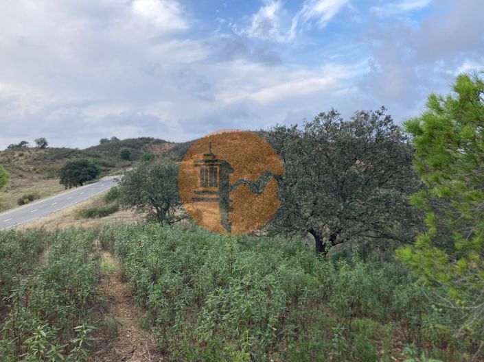 Image No.12-Plot for sale