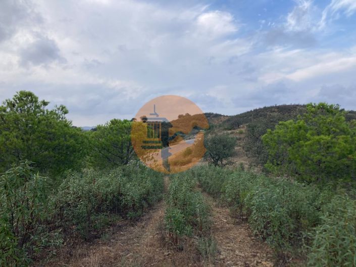 Image No.13-Plot for sale