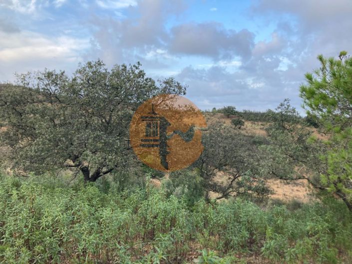 Image No.14-Plot for sale