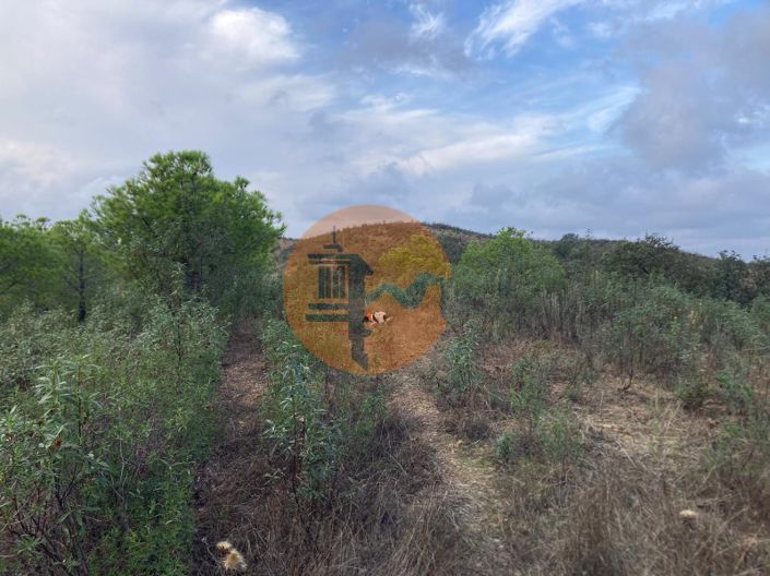 Image No.15-Plot for sale