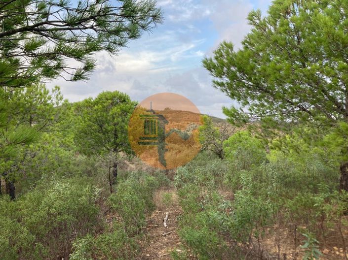 Image No.16-Plot for sale