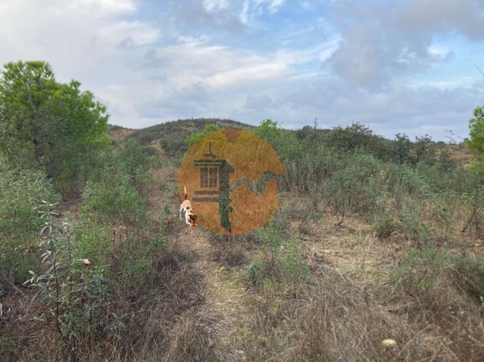 Image No.18-Plot for sale