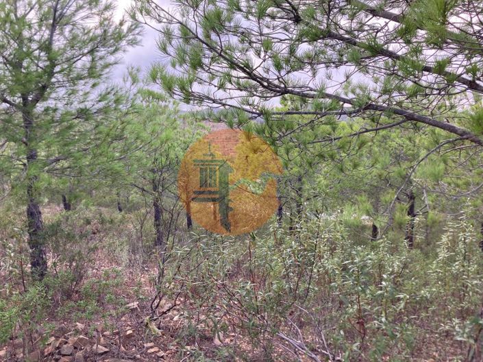 Image No.19-Plot for sale